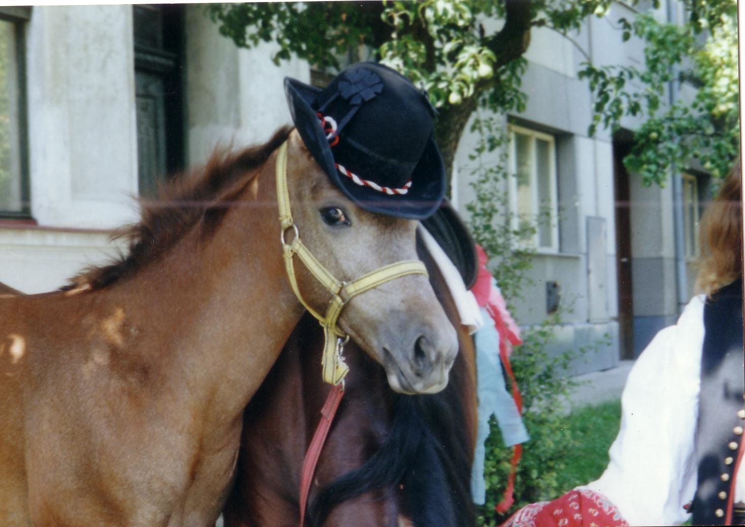 Scan20024.JPG