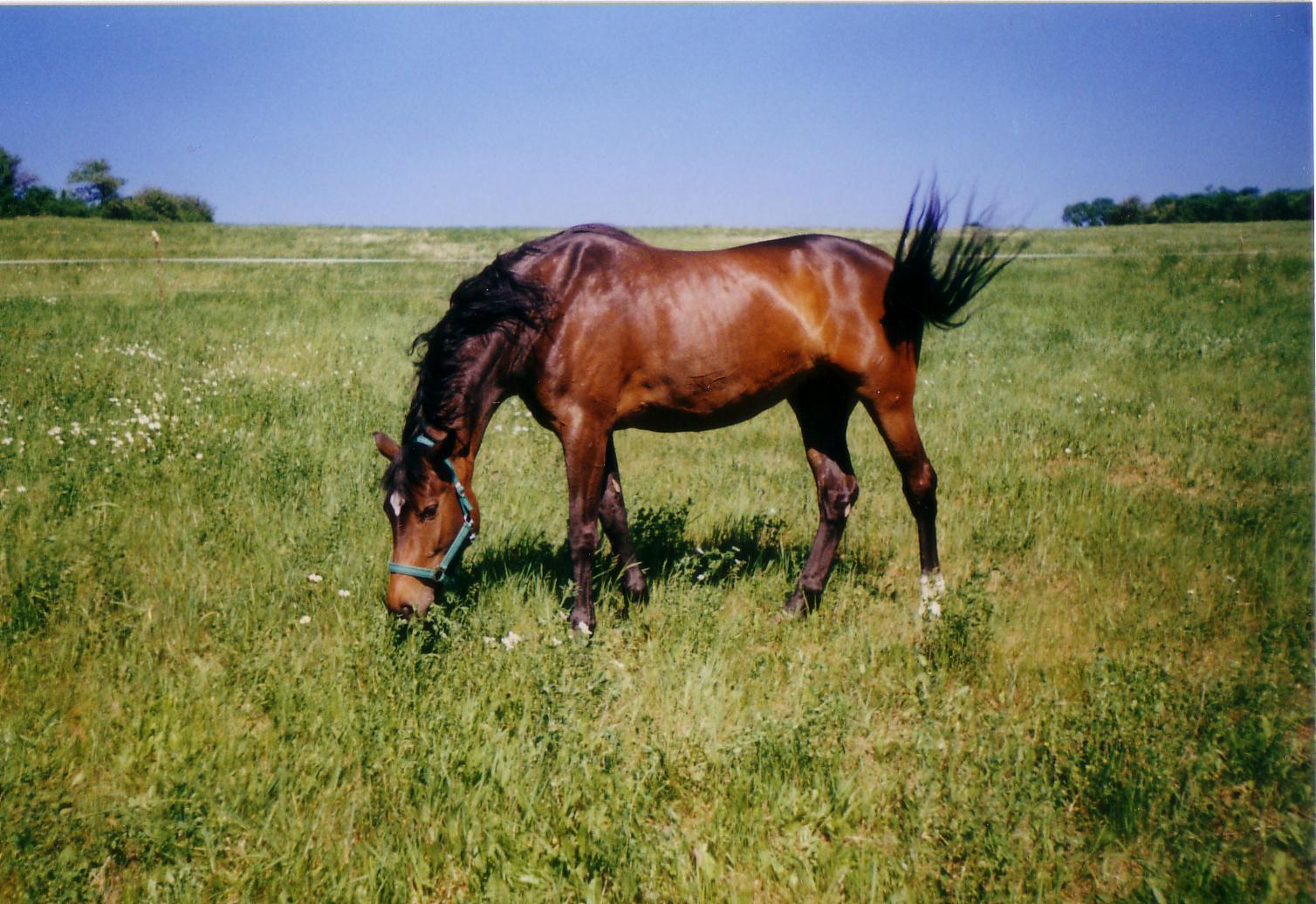 Scan20004.JPG
