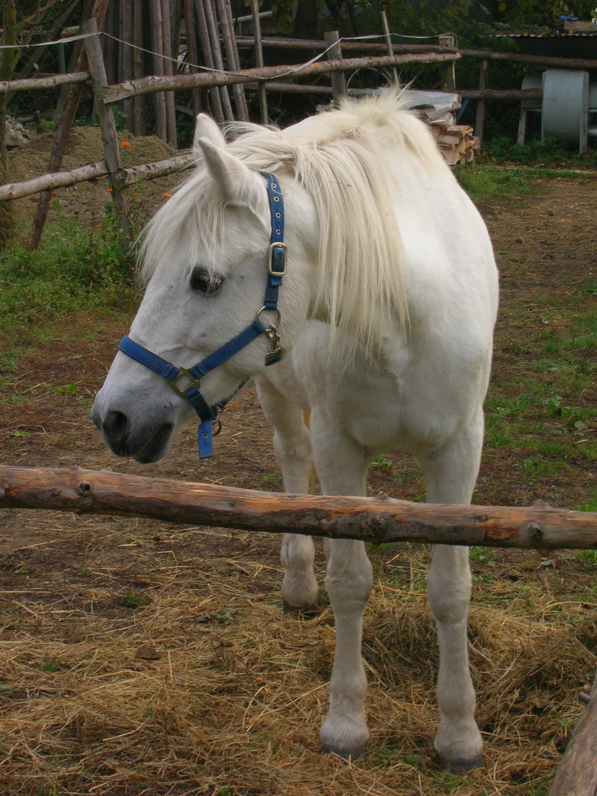 DSCN0160.JPG