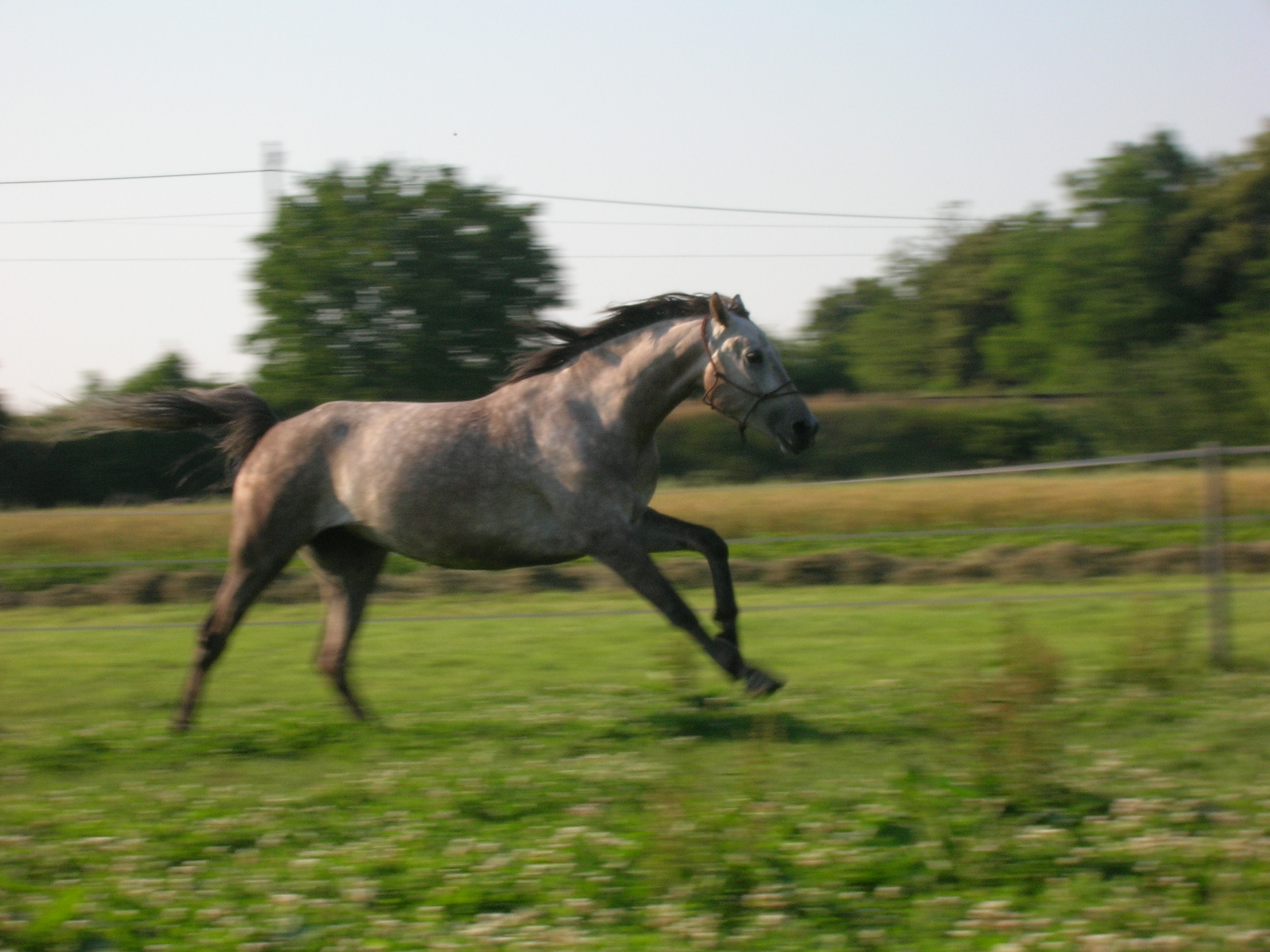 DSCN1469.JPG