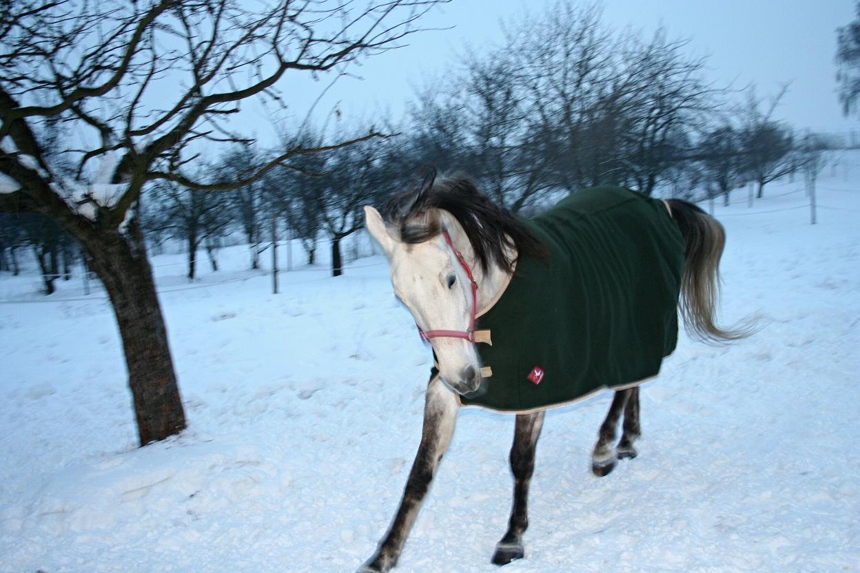 A už se dělají hopíky...