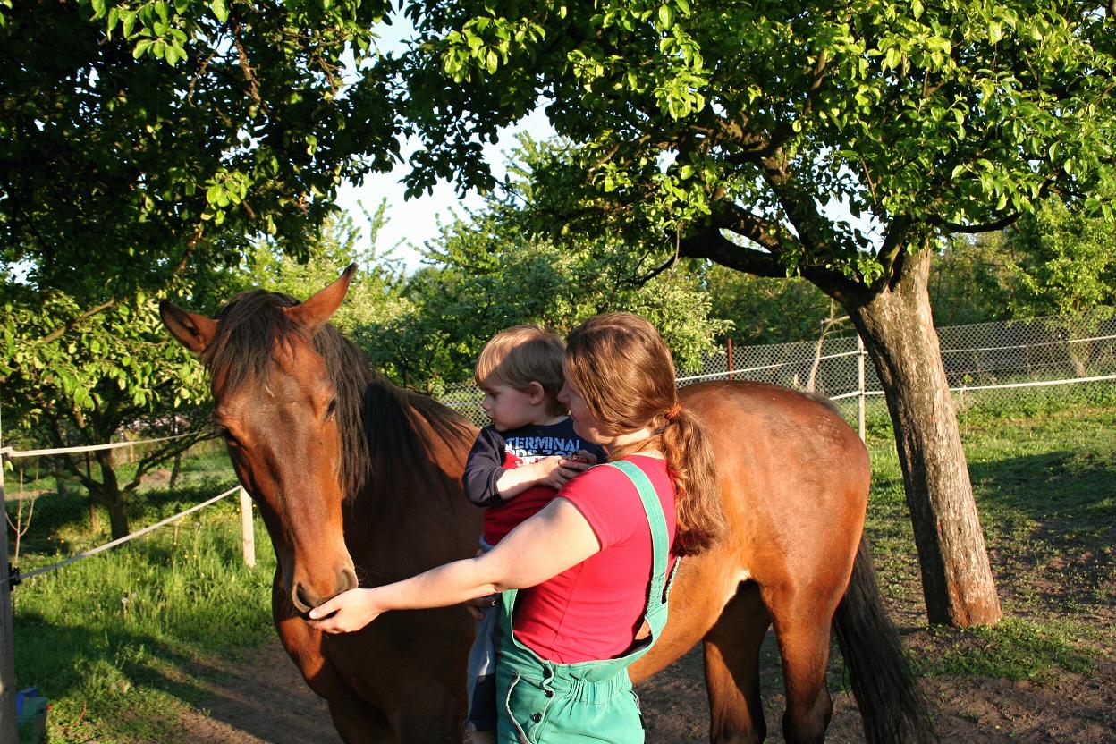 Koníci květen 2011 009