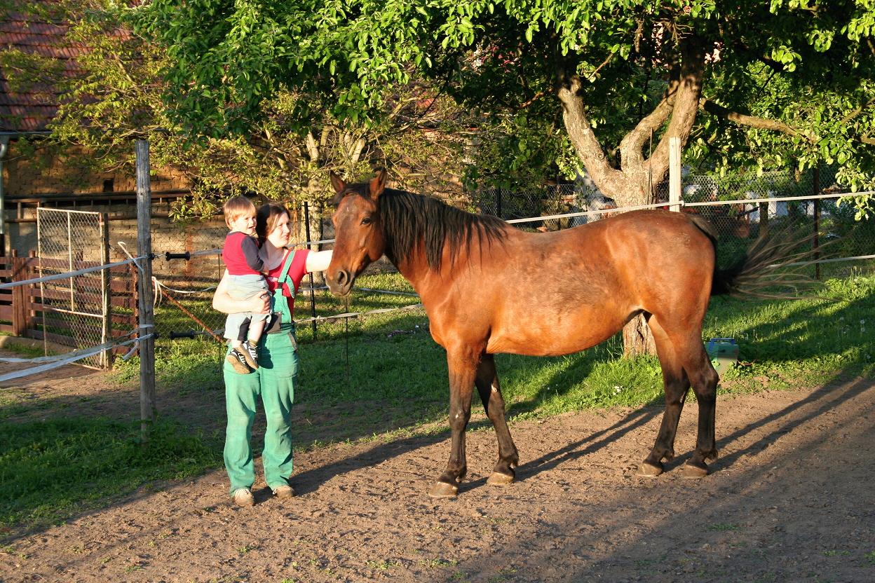 Koníci květen 2011 014