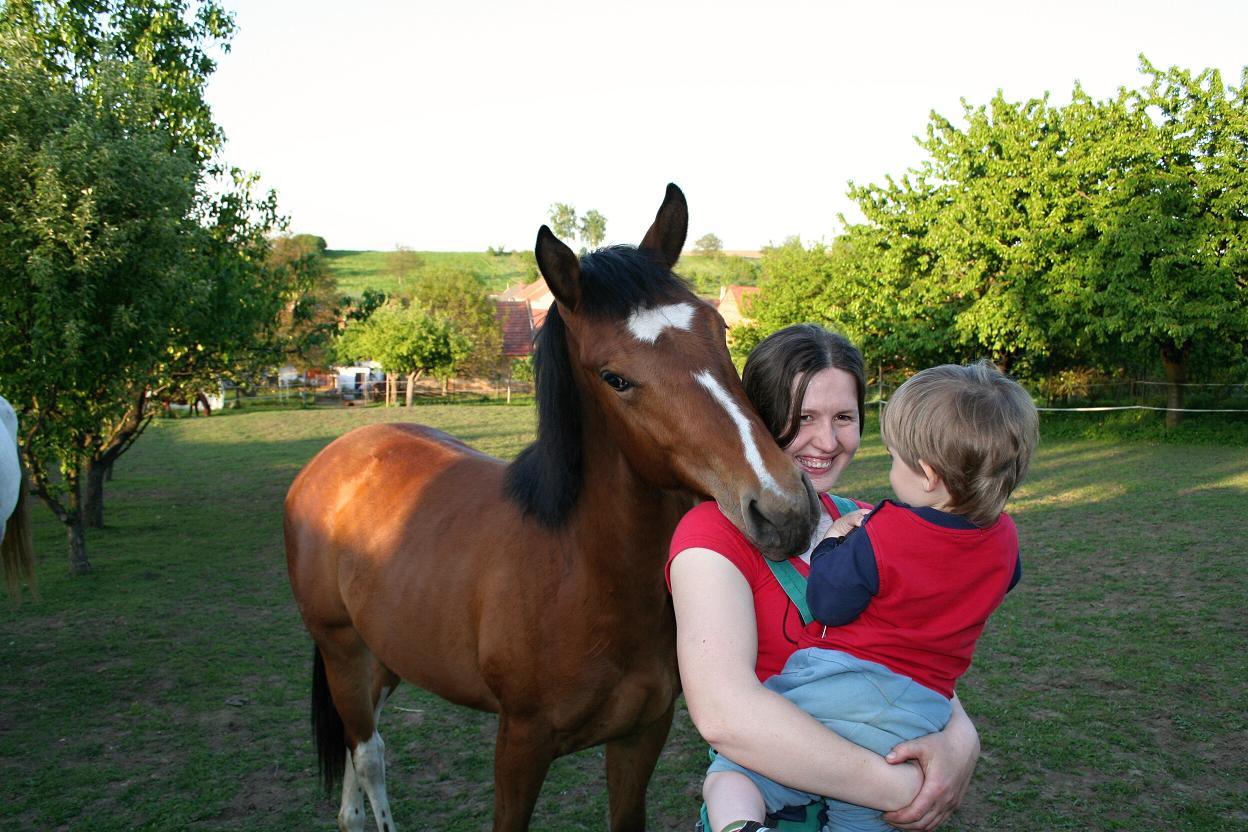 Koníci květen 2011 033