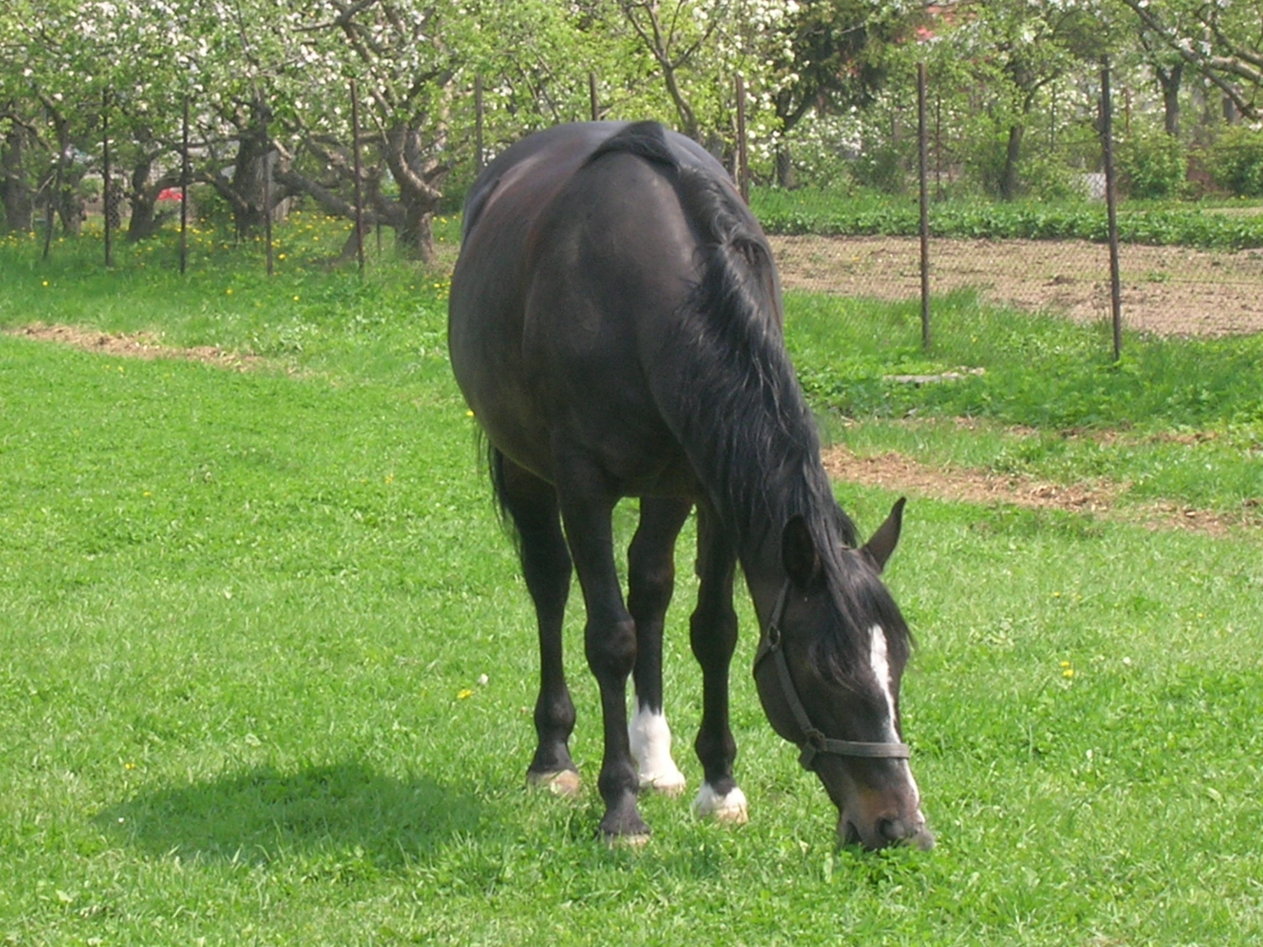 DSCN1164.JPG